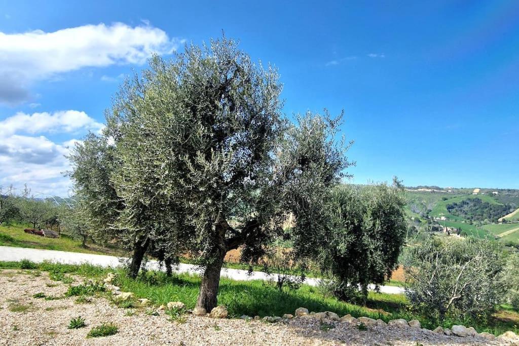 Li Da Ste Villa Ripatransone Exterior foto